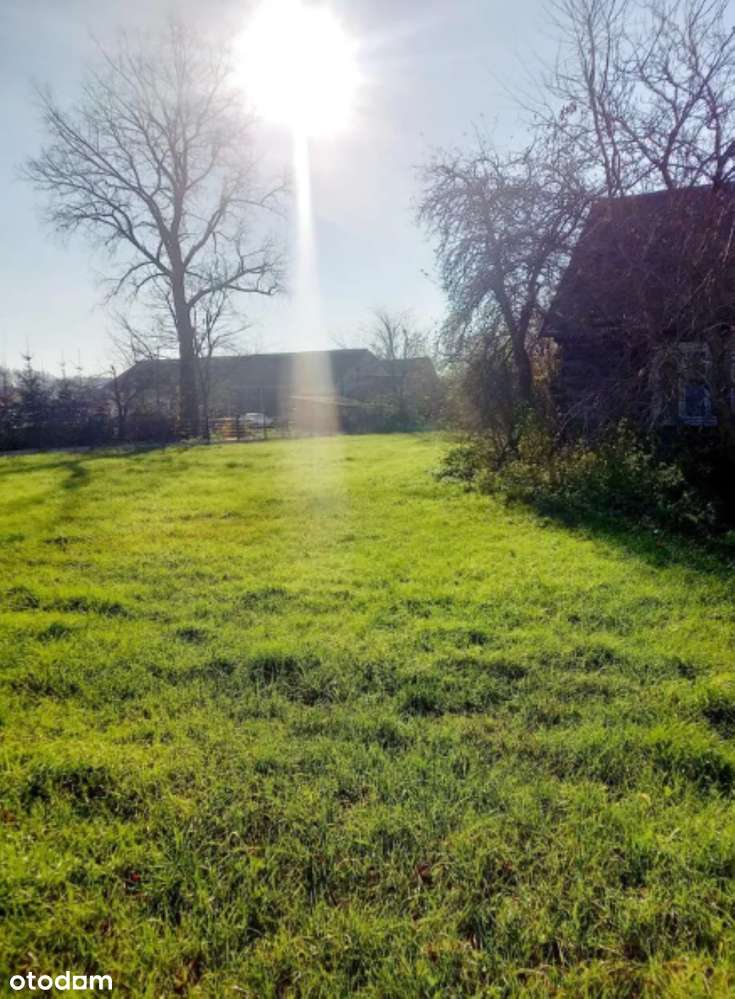 Siedlisko 1,4870 ha; Sasiny, gm. Zambrów - Pełny obrazek: 1/3