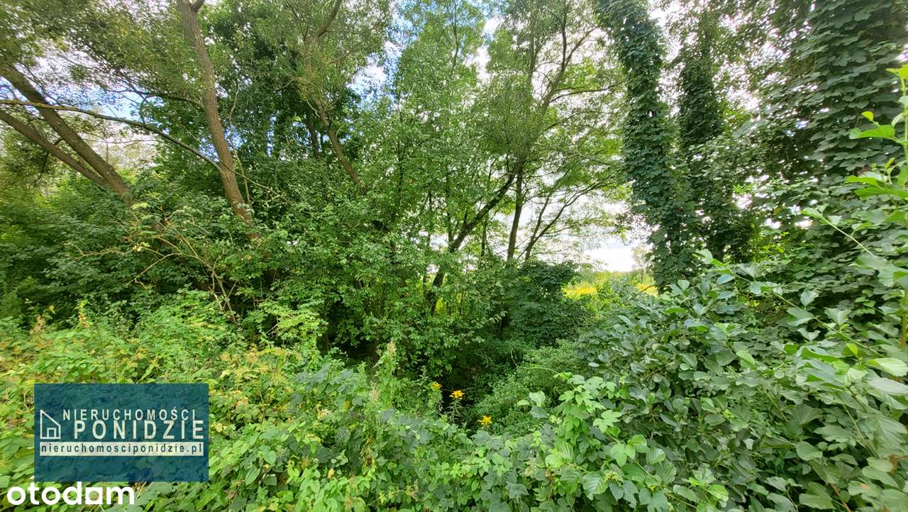 Działka budowlana nad strumykiem Zborów / Solec-Zdrój-11