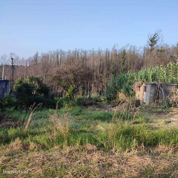 Terreno para construção - Grande imagem: 5/5