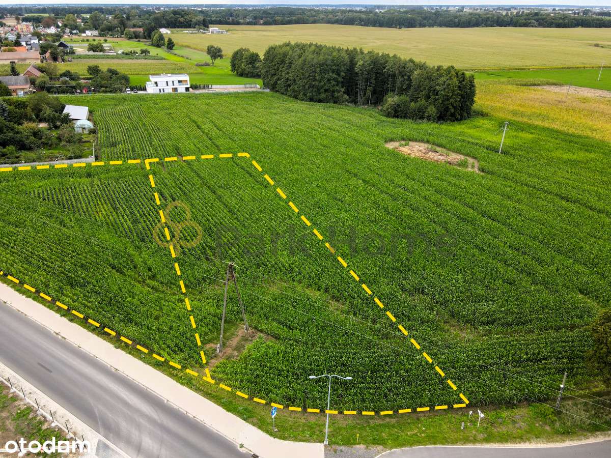 Zbuduj swój biznes 10 min. od Leszna! - Pełny obrazek: 4/10