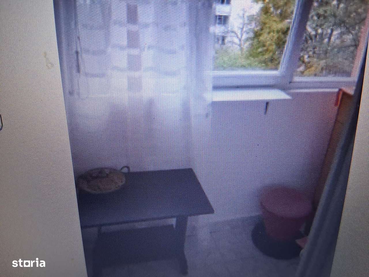 garsoniera teiul doamnei - Imagine principală: 4/7