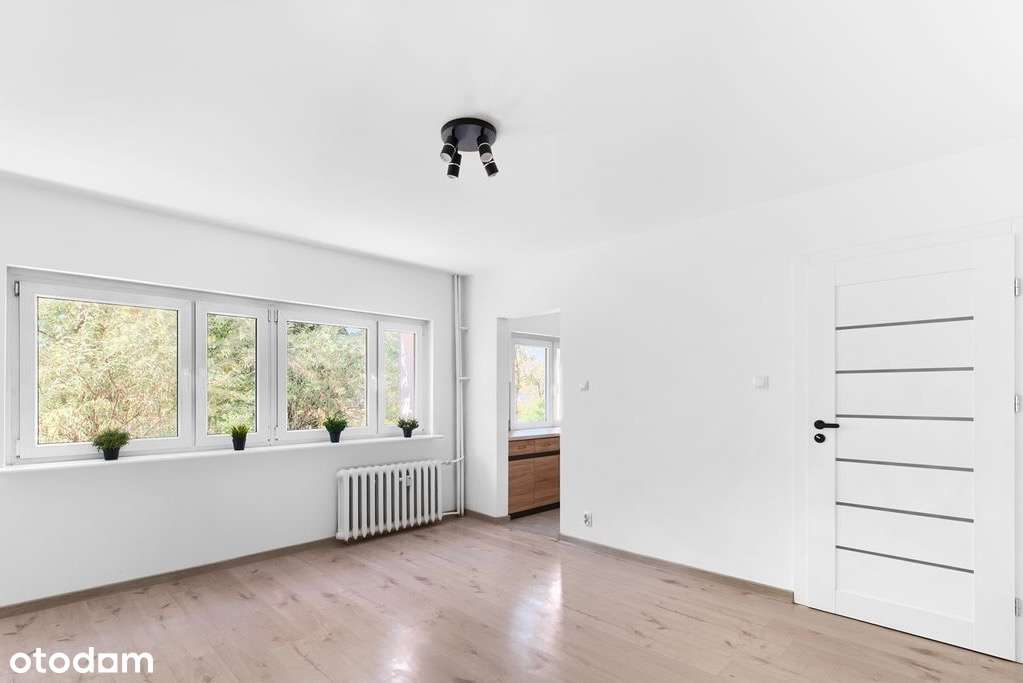 2 pokoje po remoncie, Grunwald, willowa dzielnica, do wprowadzenia