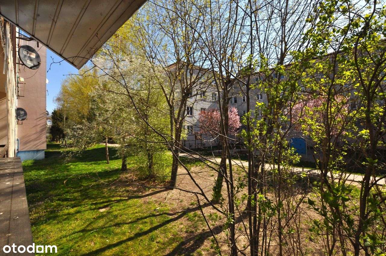 4 pokoje, kuchnia, balkon, cicho i zielono-17