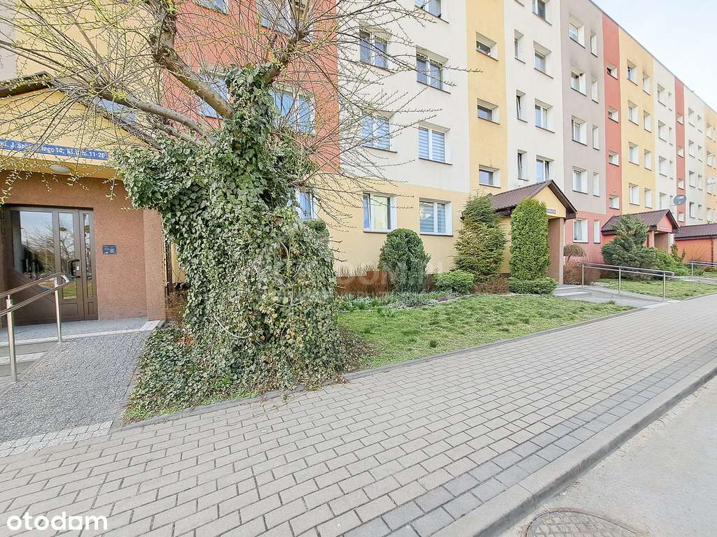 Inwestycyjna Perła-W top Lokalizacji- Oś/Michałów-1