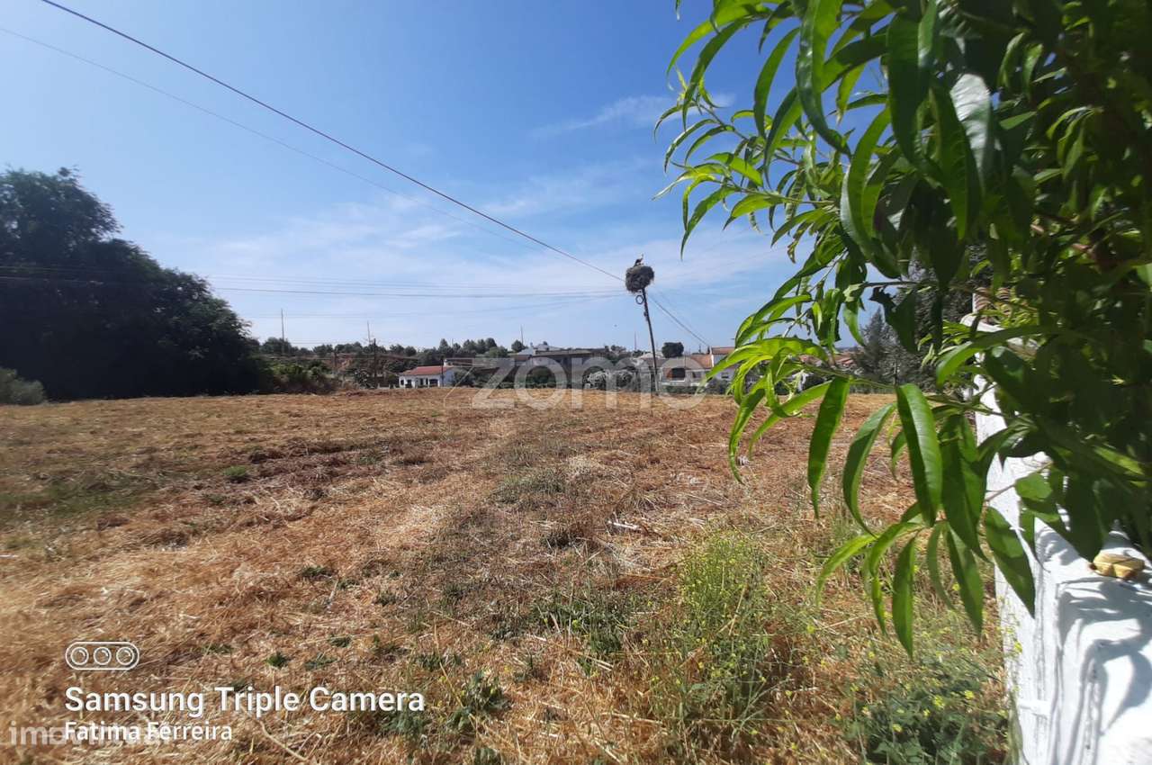 Moradia Típica Alentejana T4 com terreno - Grande imagem: 4/37