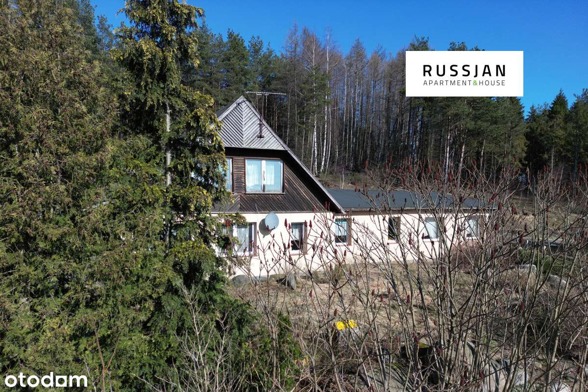 Usługi wszelakie to tu!-0