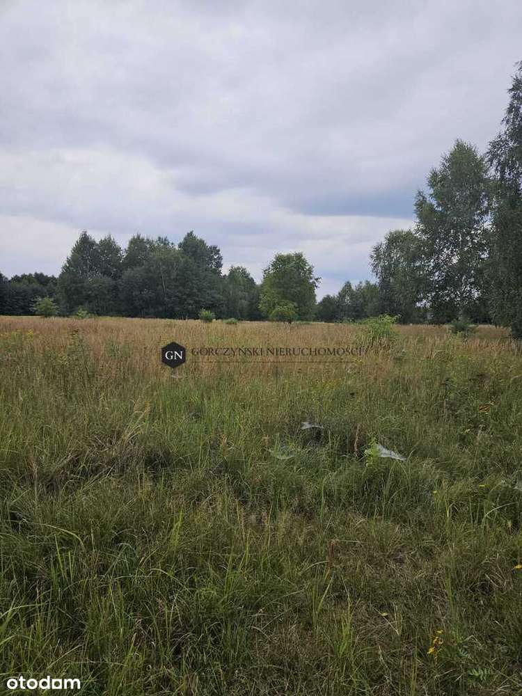 Jodłowice/Działka budowlana/Piękna zielona okolica - Pełny obrazek: 4/9