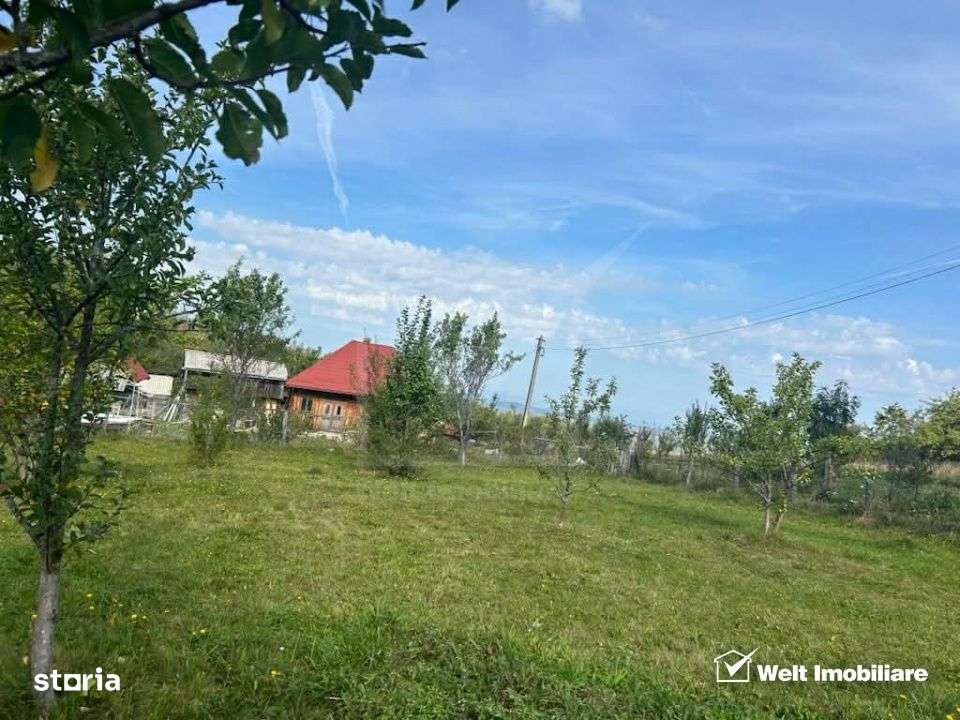 NOU. Se vinde teren pentru casa/cabana intr-o zona cu aer curat. - Imagine principală: 4/6