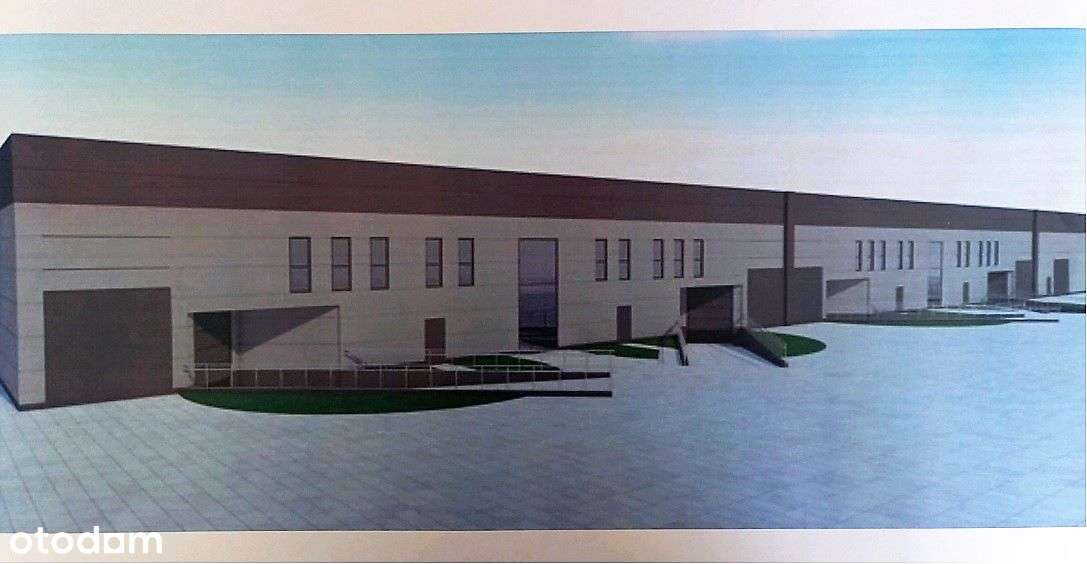 Hala, magazyn, biura w czytelnej lokalizacji - Pełny obrazek: 4/4