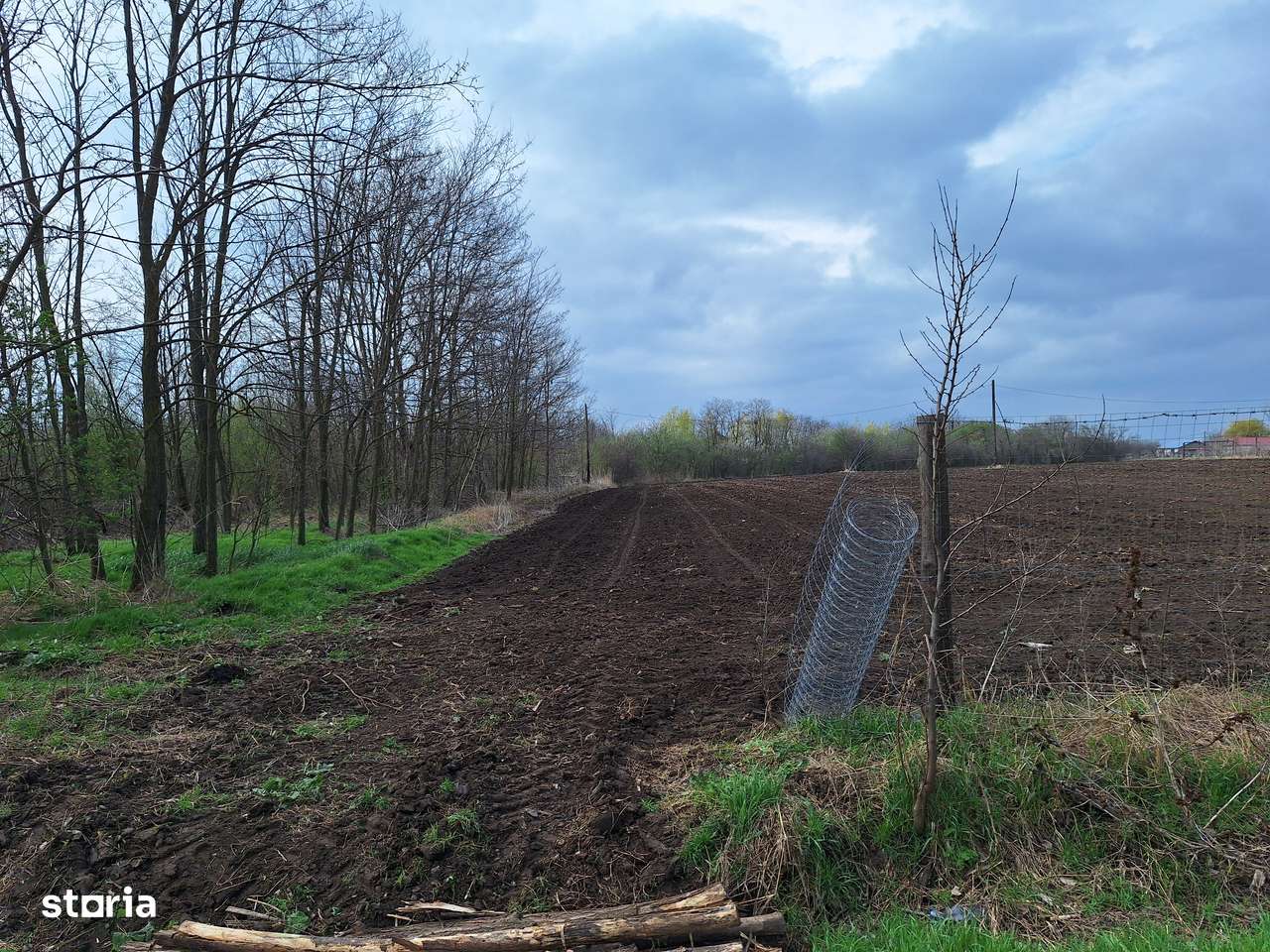 Sinesti-Livedea vanzare teren intravilan - Imagine principală: 4/4