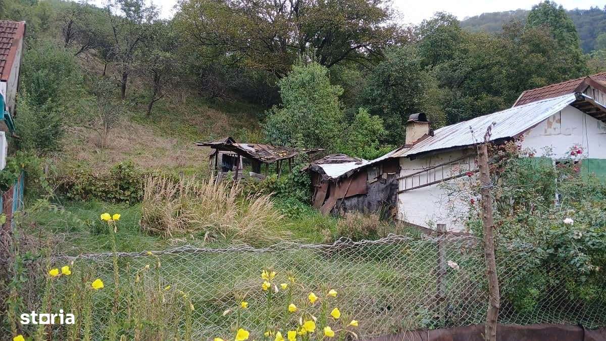 Comision 0 - Teren 3342 mp cu casa in Rusca Montana - Imagine principală: 5/10