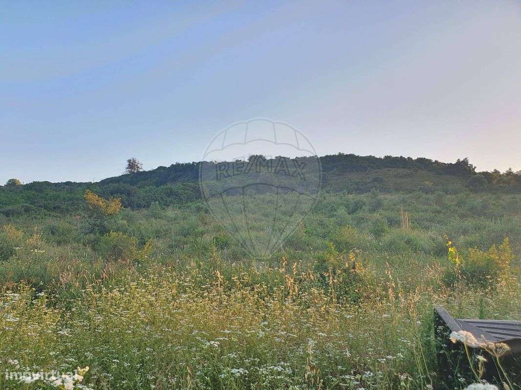 Terreno  para venda - Grande imagem: 5/6