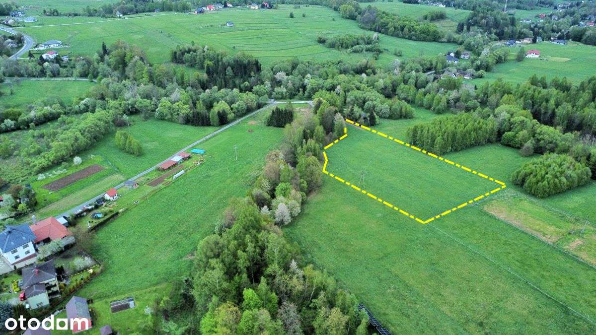 Atrakcyjna działka rolna - Gilowice k. Żywca-10