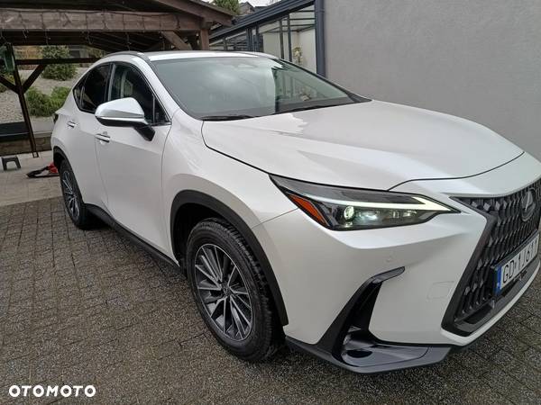 Lexus NX - 2