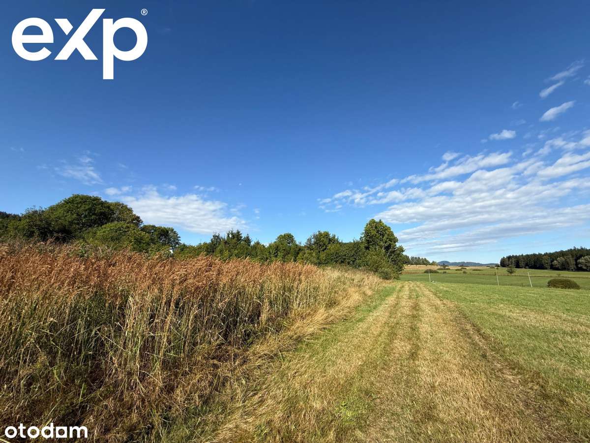 Bartnica – działka budowlana 2 900 m² z mediami i - Pełny obrazek: 5/9