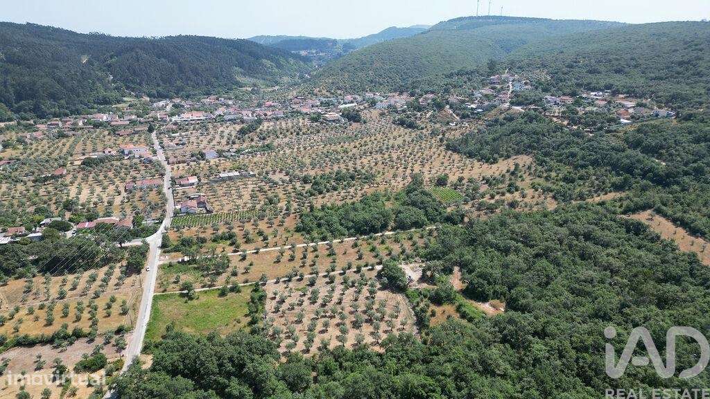 Terreno para construção em Chão de Couce - Grande imagem: 5/21