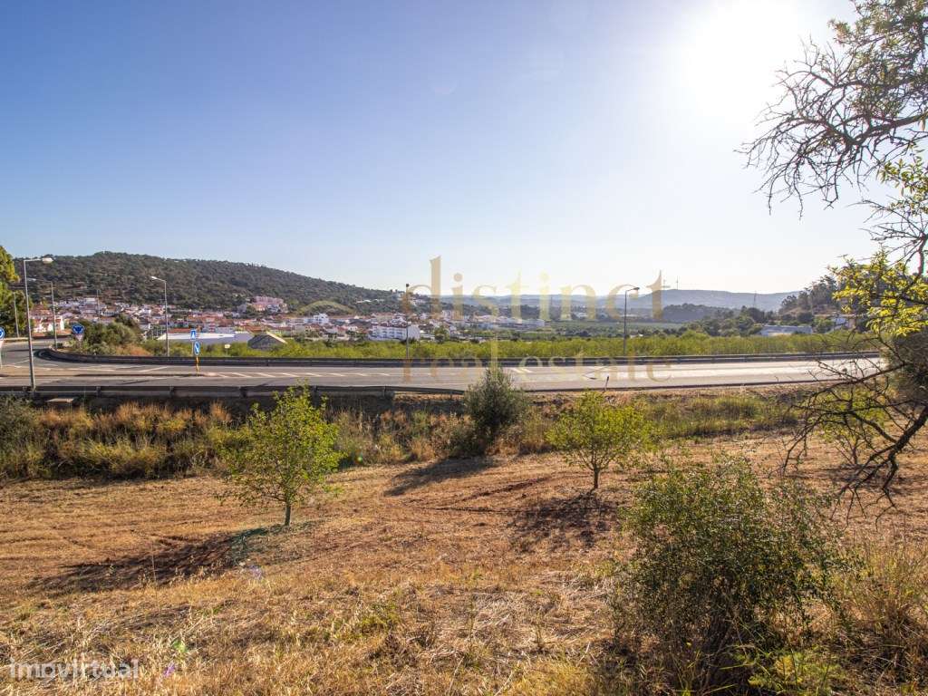 Terreno para construção de comercio e serviços - Grande imagem: 5/18