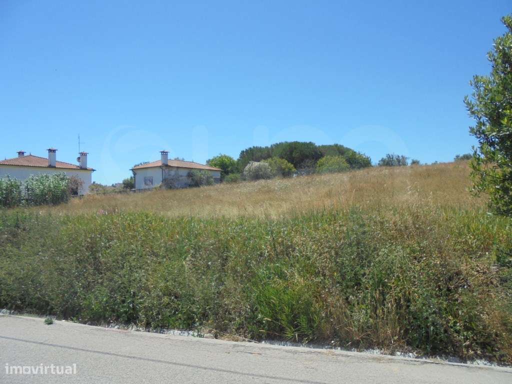 Terreno Rústico Soure - Grande imagem: 5/6