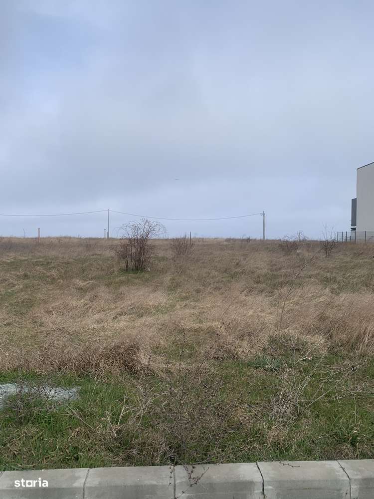 Costinesti-Golful Francezului-Teren intravilan.950 mp preț 65.000 euro-3