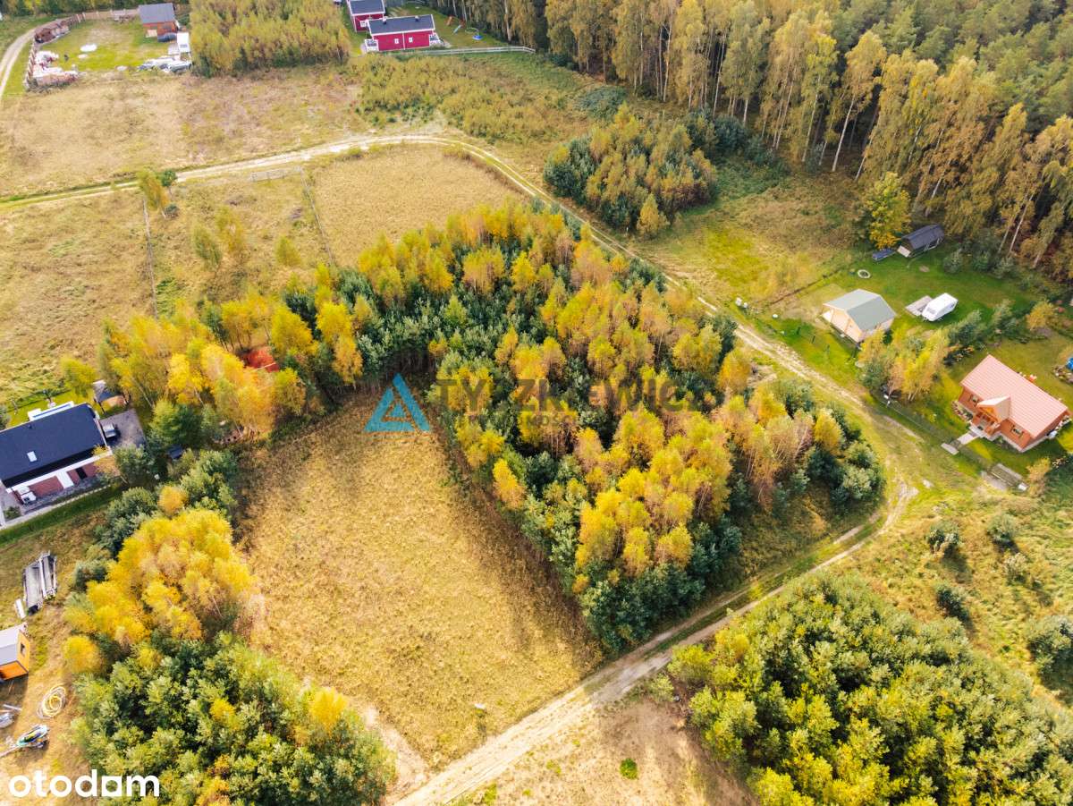 Działka budowlana w Odargowie – cisza i natura - Pełny obrazek: 5/11