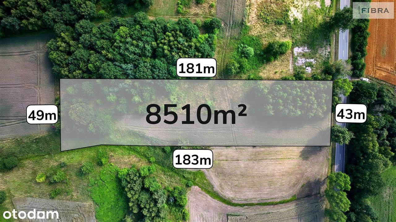 Nowa cena, teraz mniej o 90 tys. - Pełny obrazek: 2/14