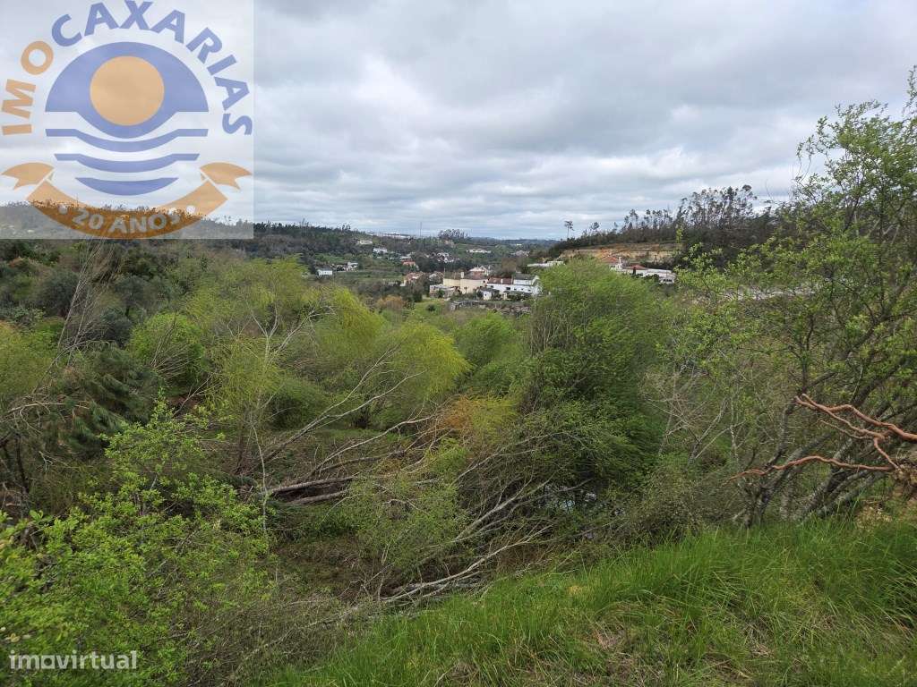 Terreno soalheiro e plano a 2 min de Caxarias e 10 min de Ourém-6