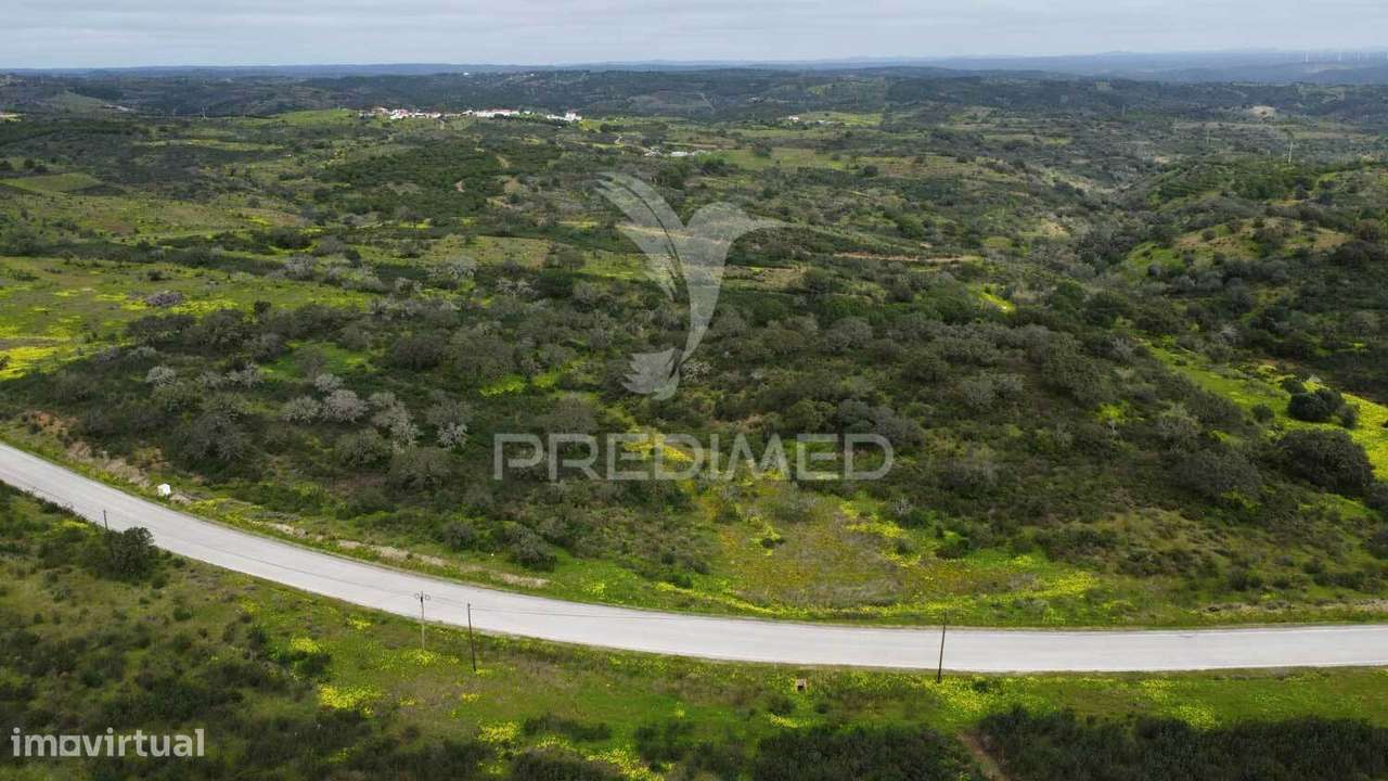 Terreno rústico com 3,43ha no Azinhal - Grande imagem: 2/10