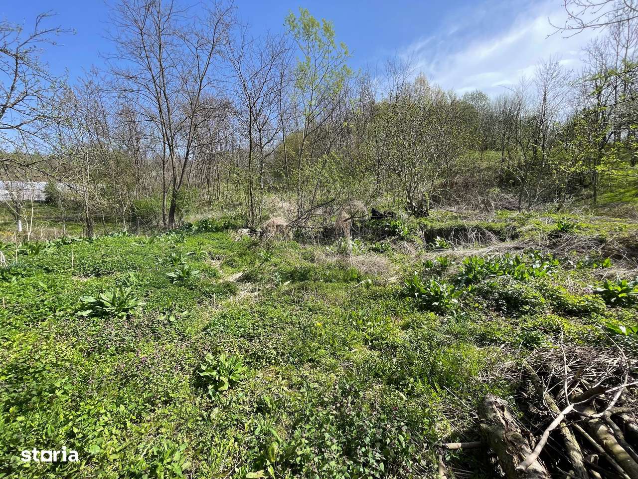 Oportunitate de Investiție în Slănic Prahova-0