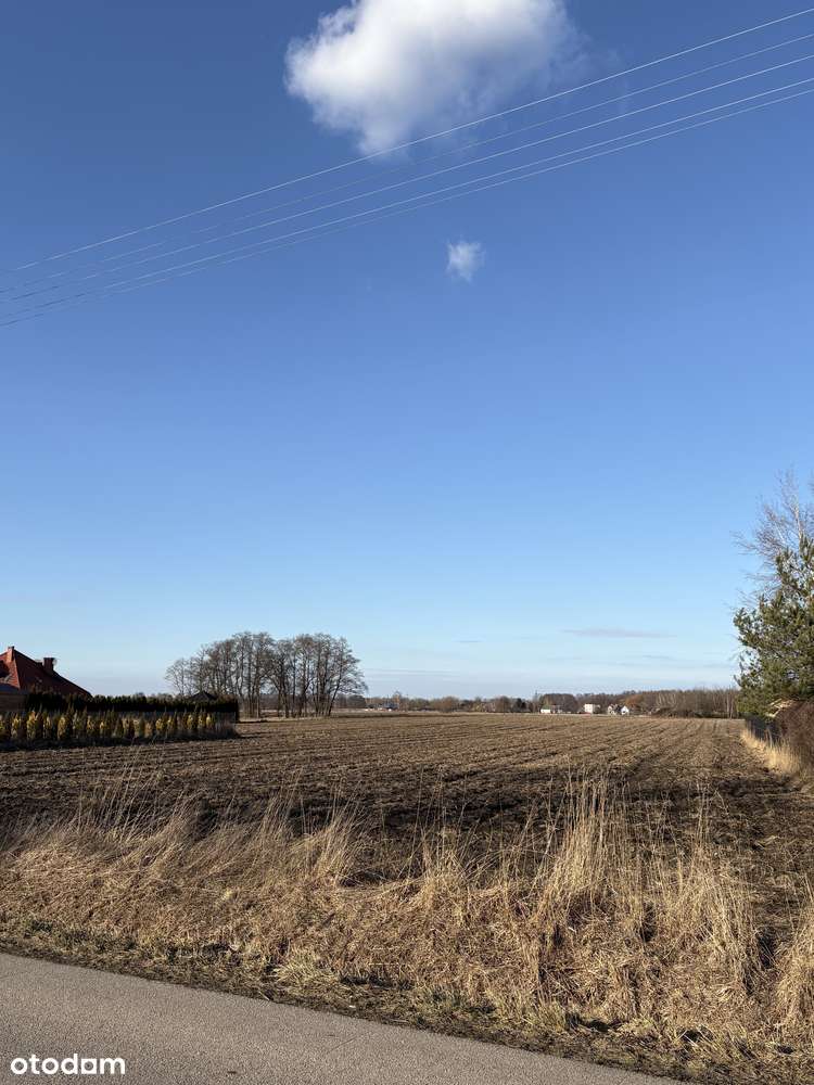 Działka budowlana 1500m2 | Aleksandria-1