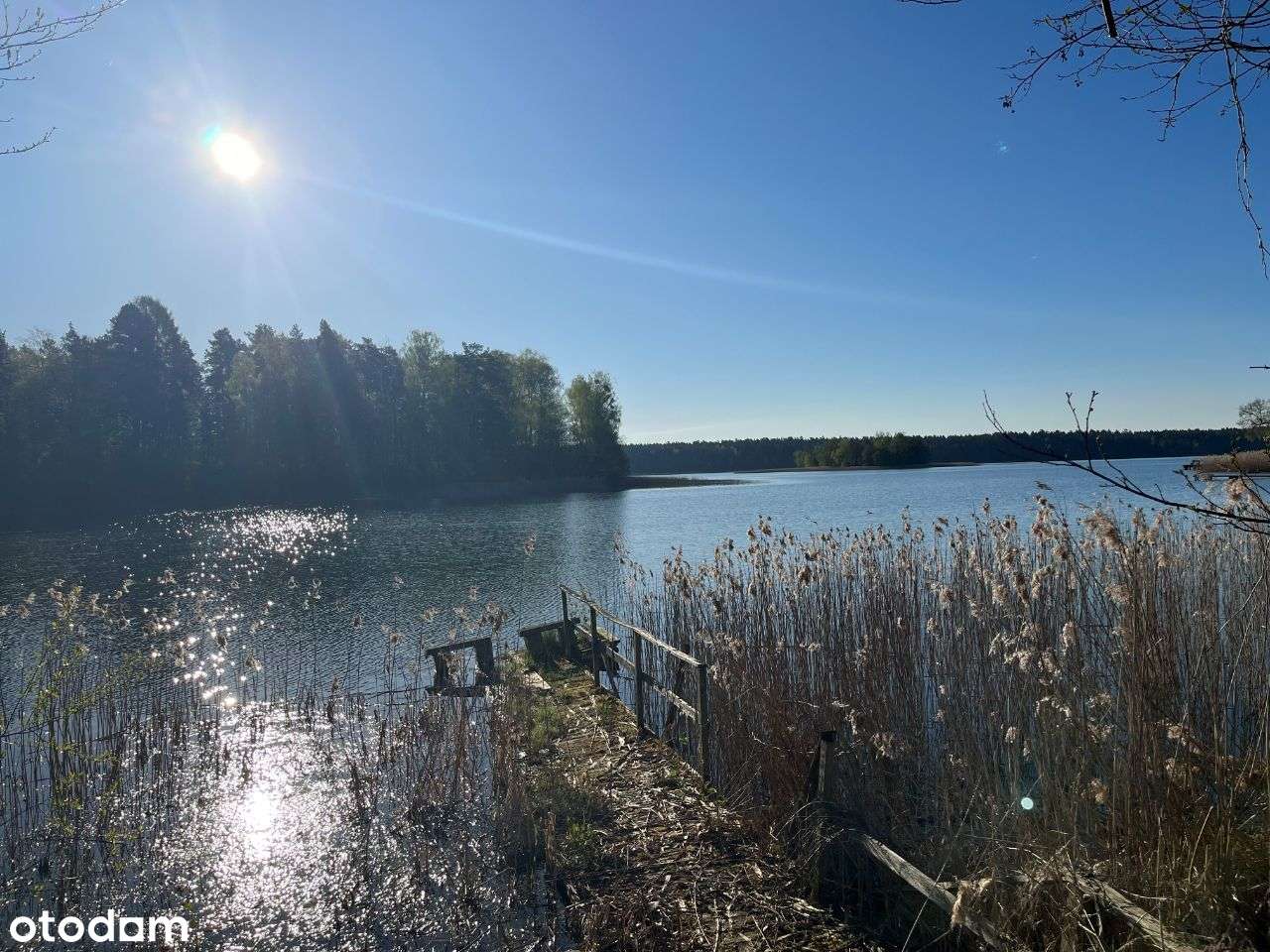 Działka z dost. do jeziora w Puszczy Augustowskiej - Pełny obrazek: 5/14