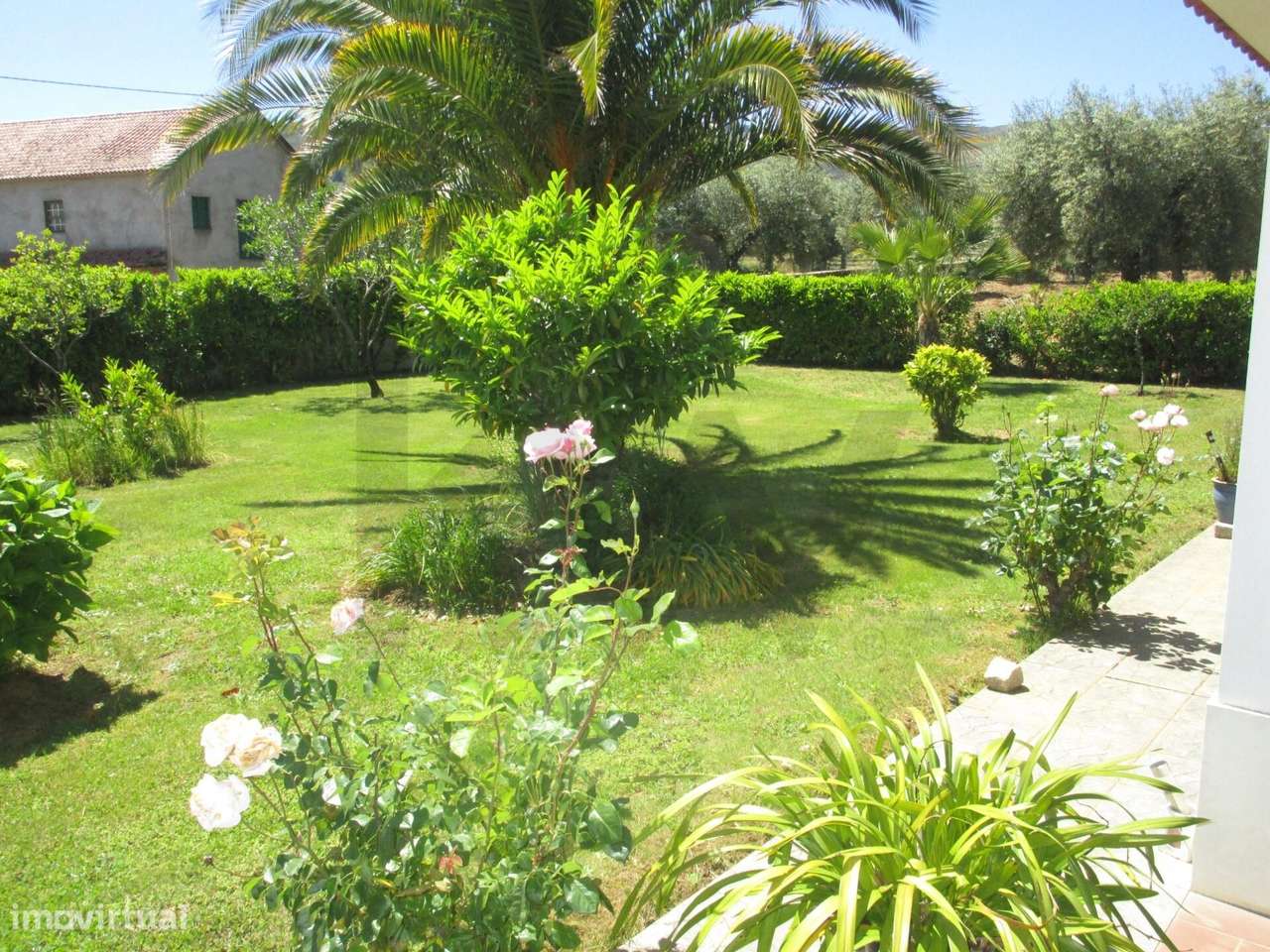 Fantástica Moradia em Chacim, Macedo de Cavaleiros, com Terreno e Oliv - Grande imagem: 5/60