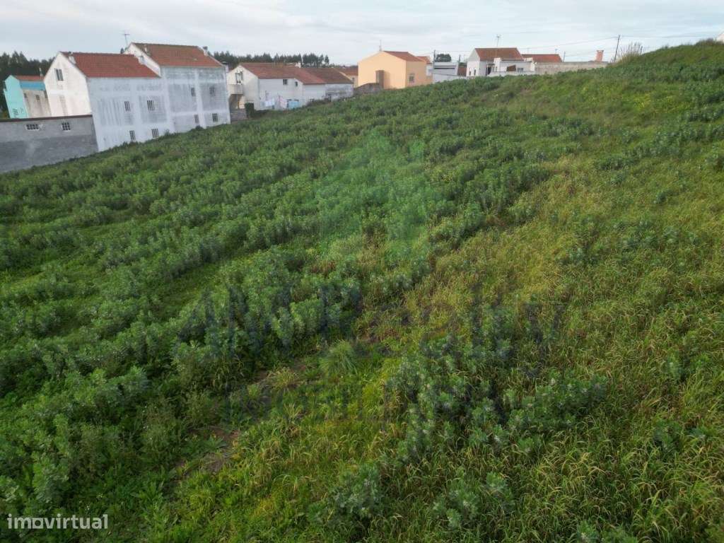 TERRENO RÚSTICO| ATOUGUIA DA BALEIA - Grande imagem: 3/10