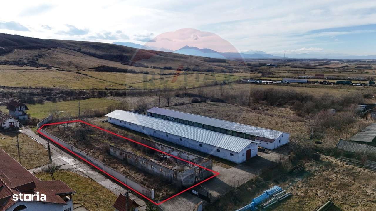 Teren industrial 1.729 mp I Demolare + construcție hală Teliu-0