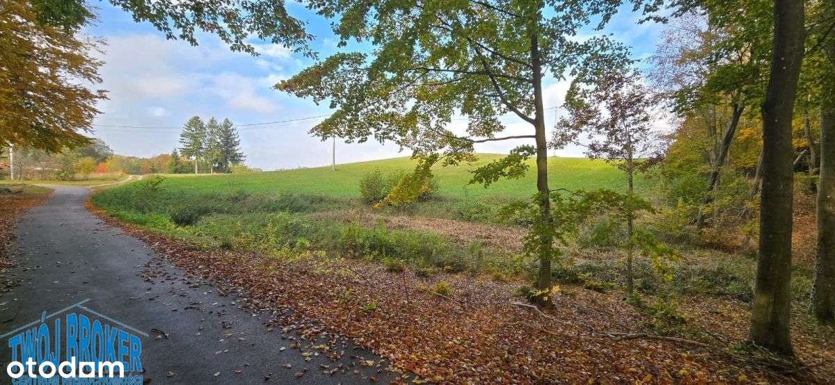 działka rezydencyjna z linią brzegową na-9