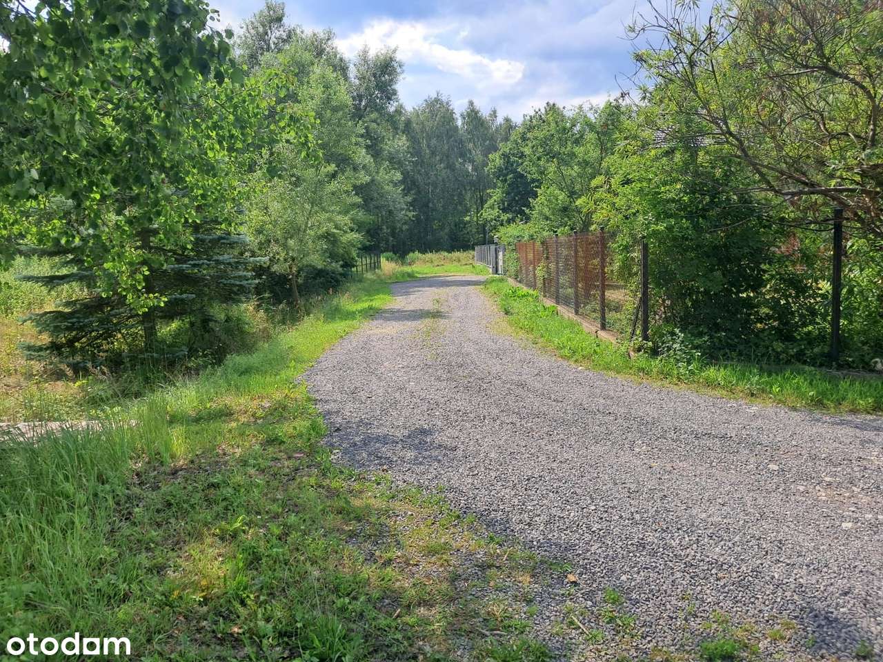 Uchwalony plan. Piękna działka ! Wszystkie media. Szkoła, autobus-9