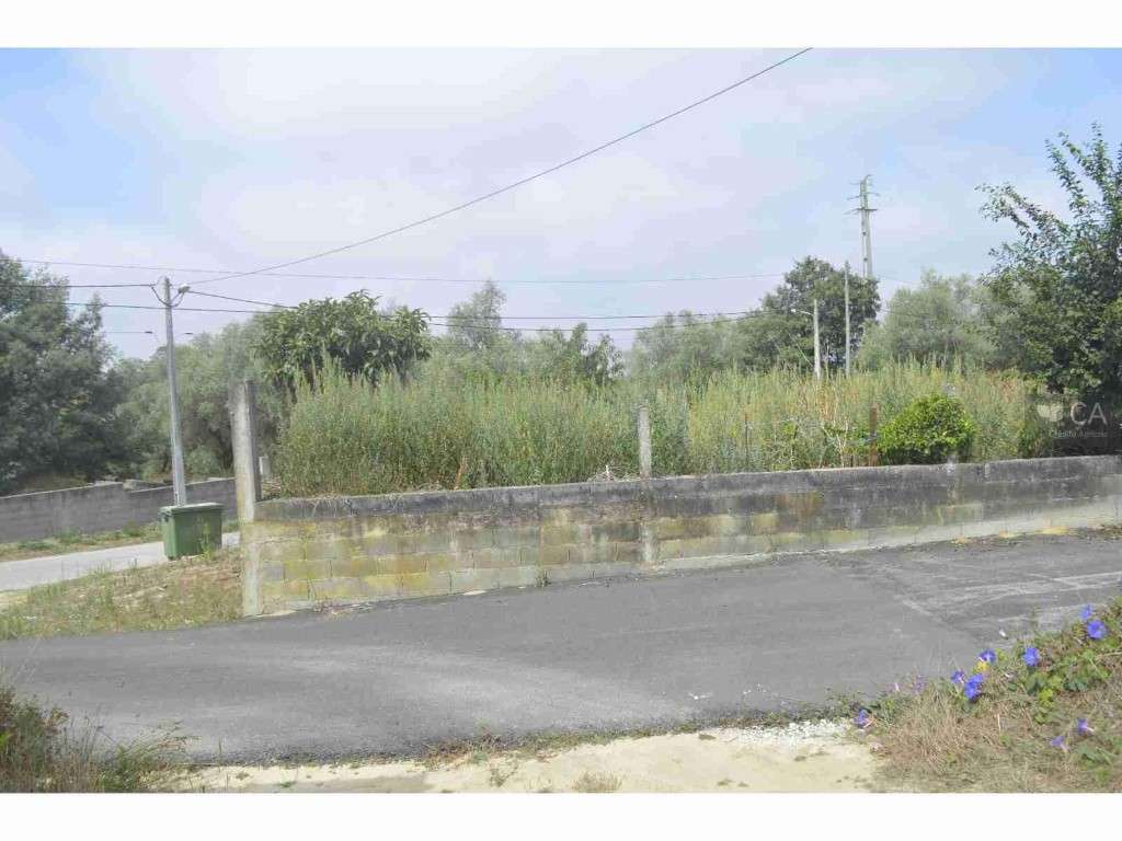 Terreno - Milagres - Grande imagem: 2/17