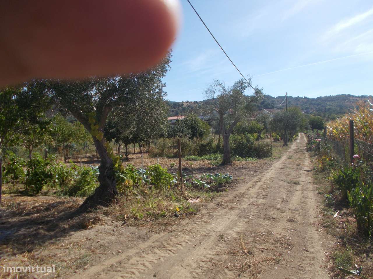 Terreno e Armazém em Chaves-13