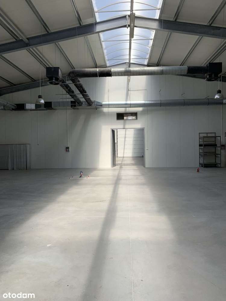 Hala Produkcyjna-Magazynowa - Pełny obrazek: 5/13