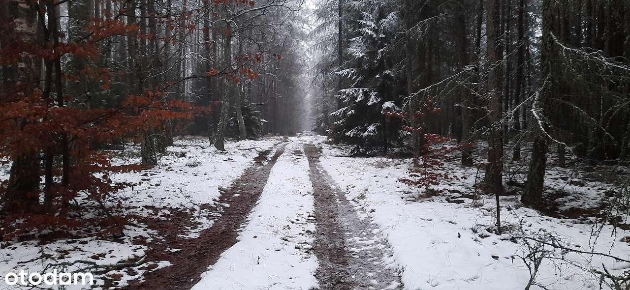 Widok na dolinę rzeki, z laskiem. Działka budowlana tuż obok Szamotuł-1