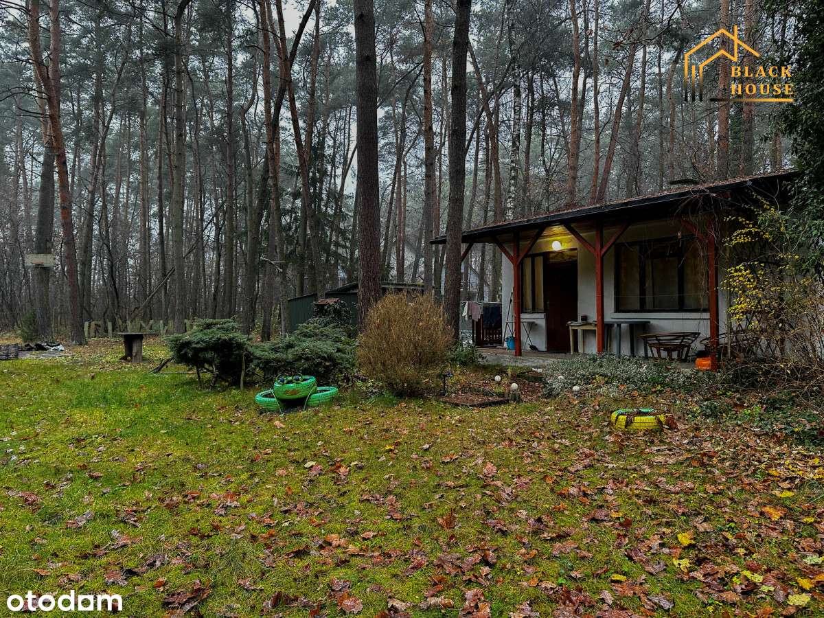 Działka w okolicach Zalewu, ul. Roślinna-0