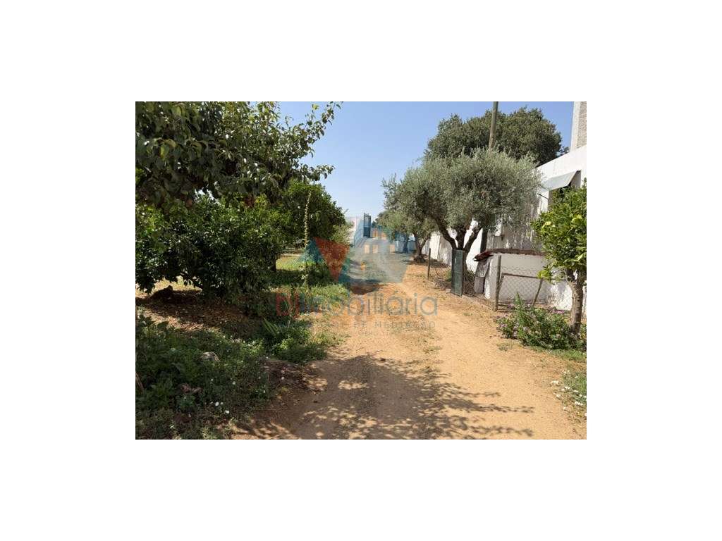 Moradia-2