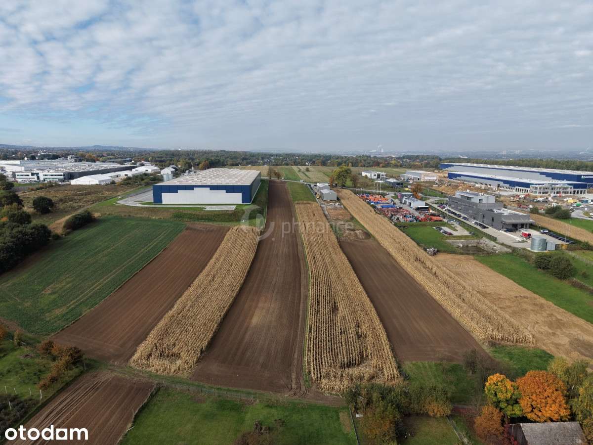 Twoja firma w Zakrzowie działka 64 ary pod usługi - Pełny obrazek: 5/7