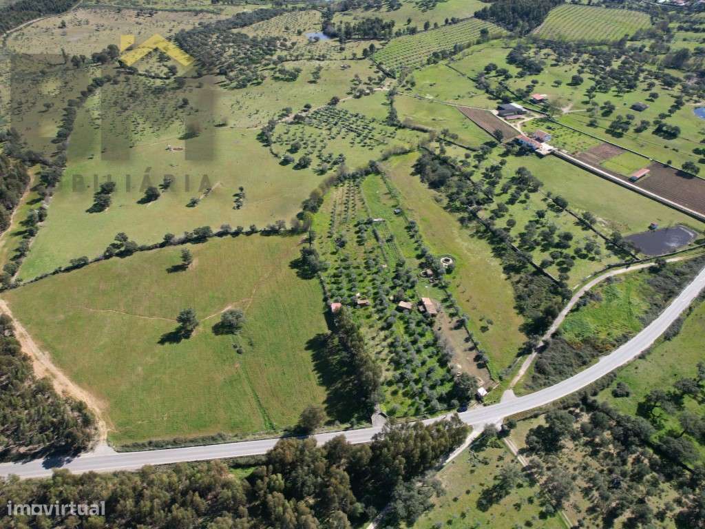 Quintinha de 9.000m2 em Proença-a-Velha. - Grande imagem: 2/32