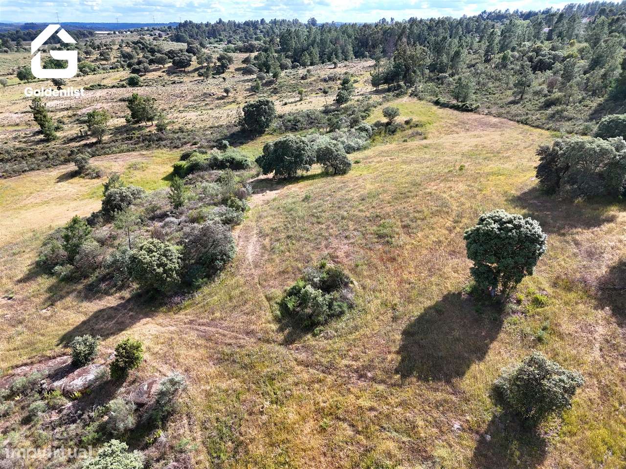 Terreno  Venda em Orca,Fundão-29