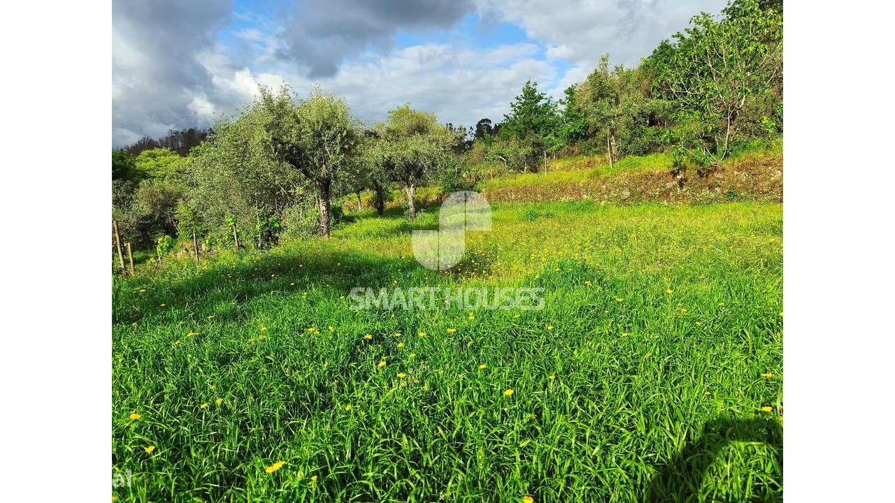 Quintinha em Vila do Mato-17