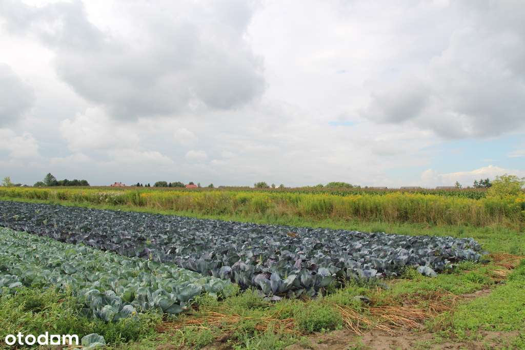 Inwestycyjna Działka w Krakowie, Nowa Huta-4