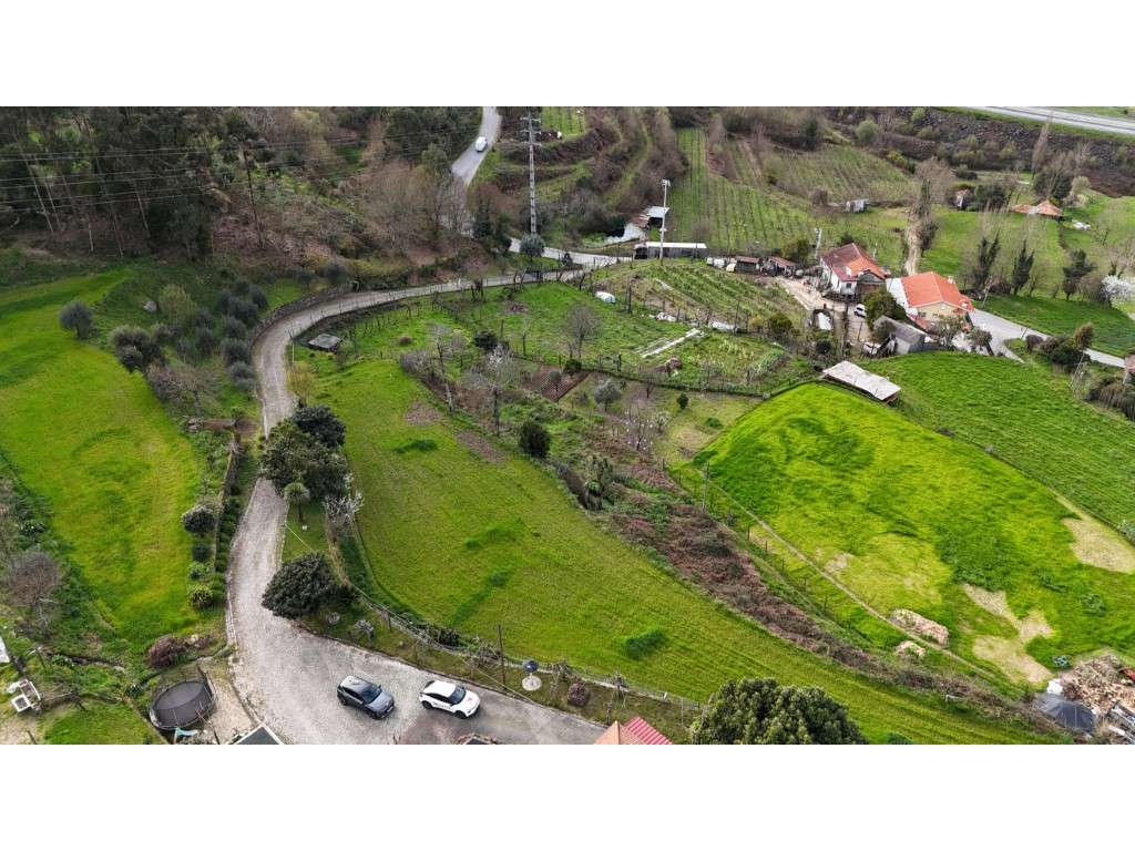 Quinta com 20.000 m² para Venda - Penacova - Grande imagem: 4/24