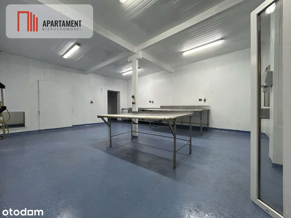 Hala pod produkcje/ Wynajem/ Brzoza - Pełny obrazek: 2/6