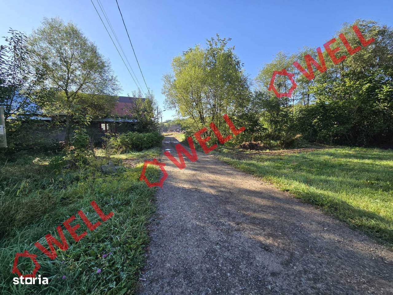 De vânzare teren extravilan în Întorsura Buzăului, Brădet!-9