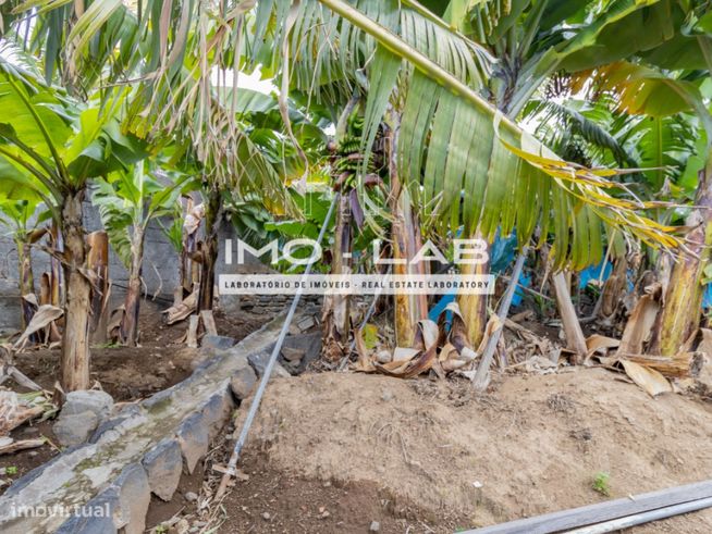 Terreno próximo ao Centro de Câmara de Lobos!-16